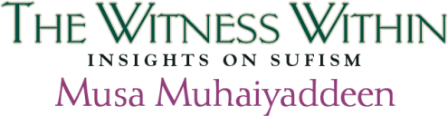 The Witness Within Insights on Sufism